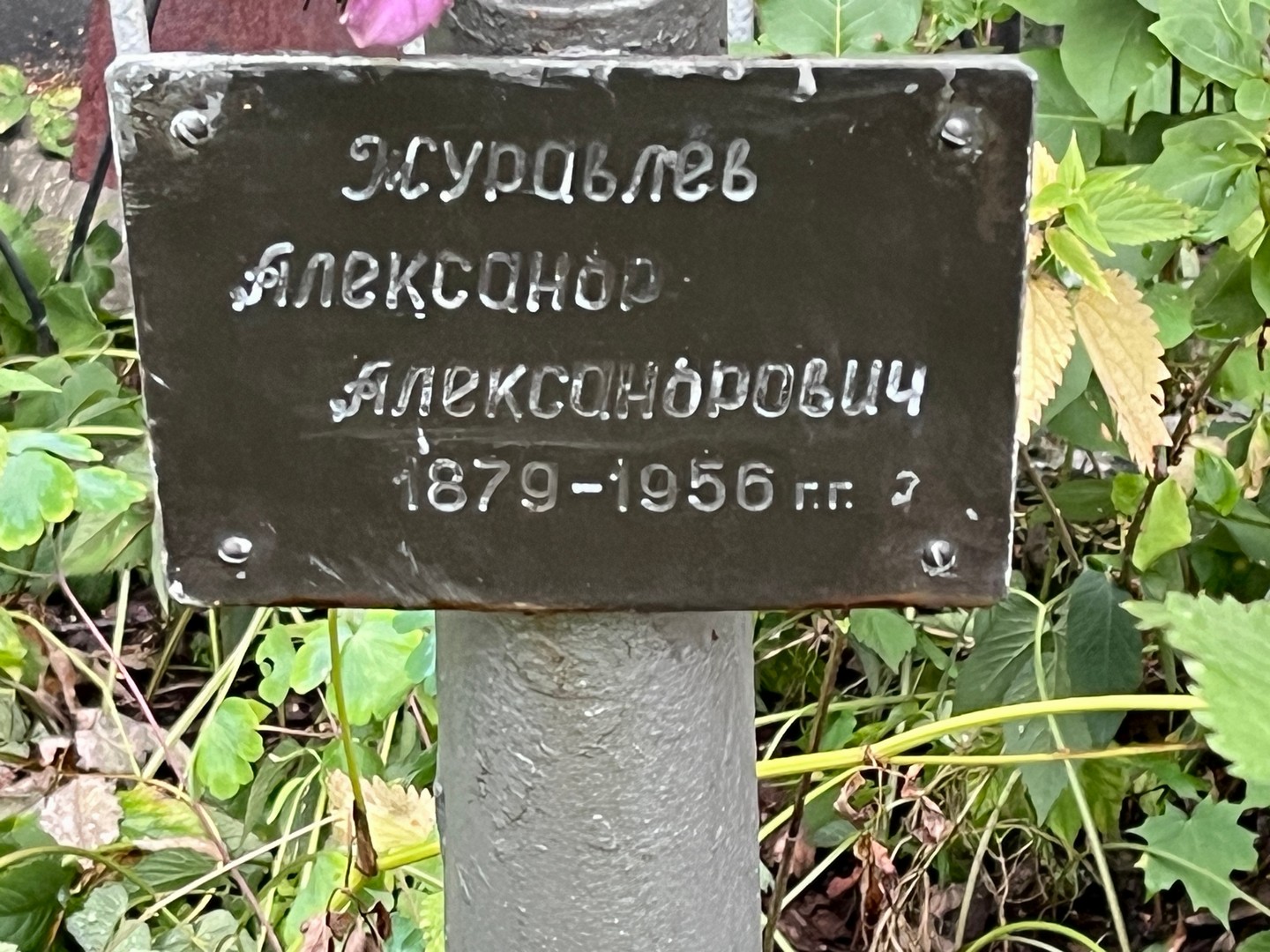 Журавлев