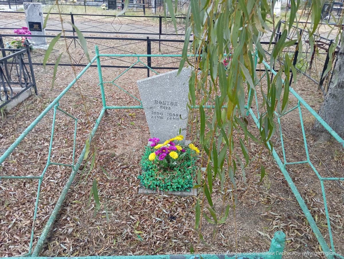 Войток Вита