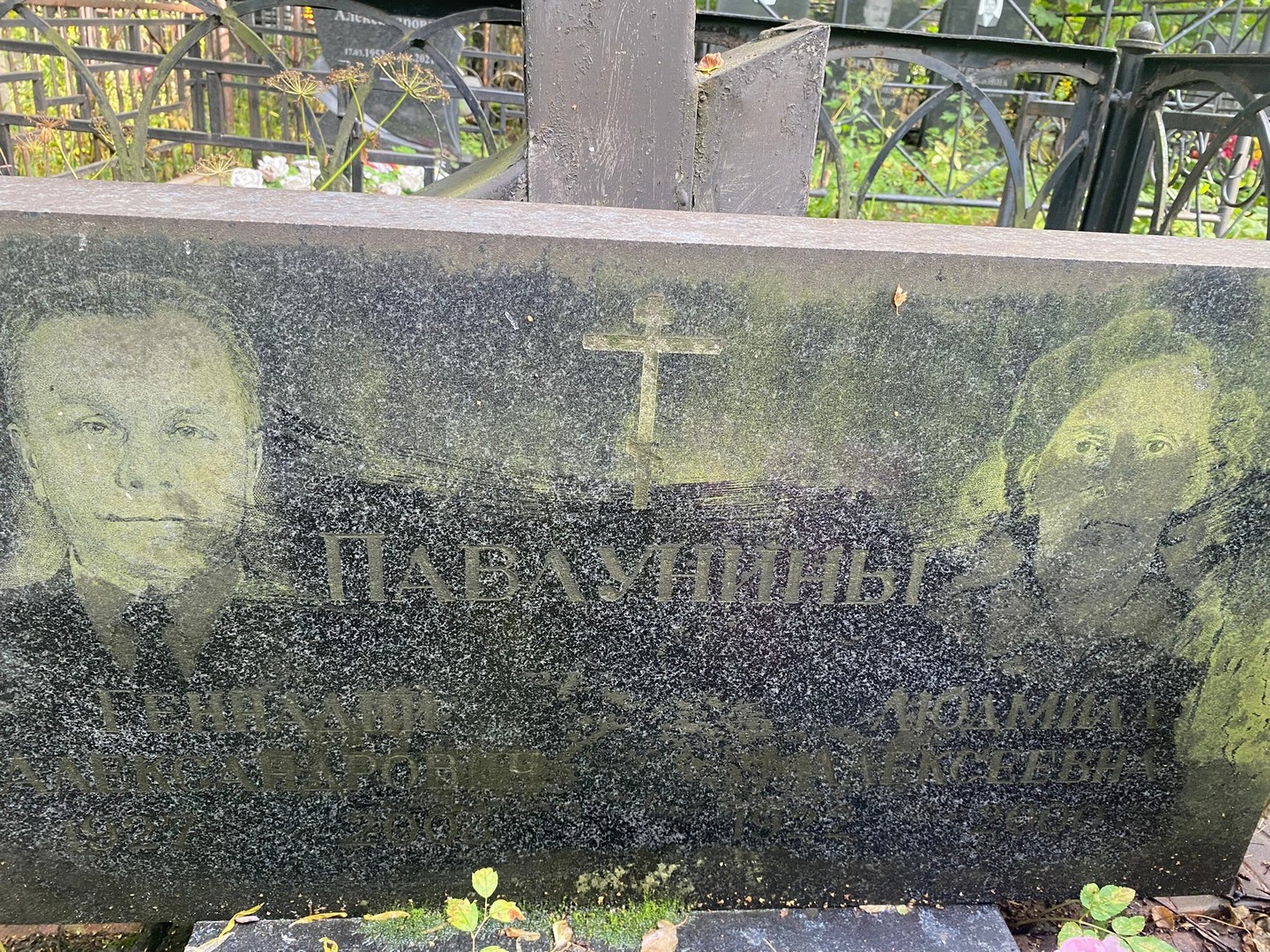 Павлунин