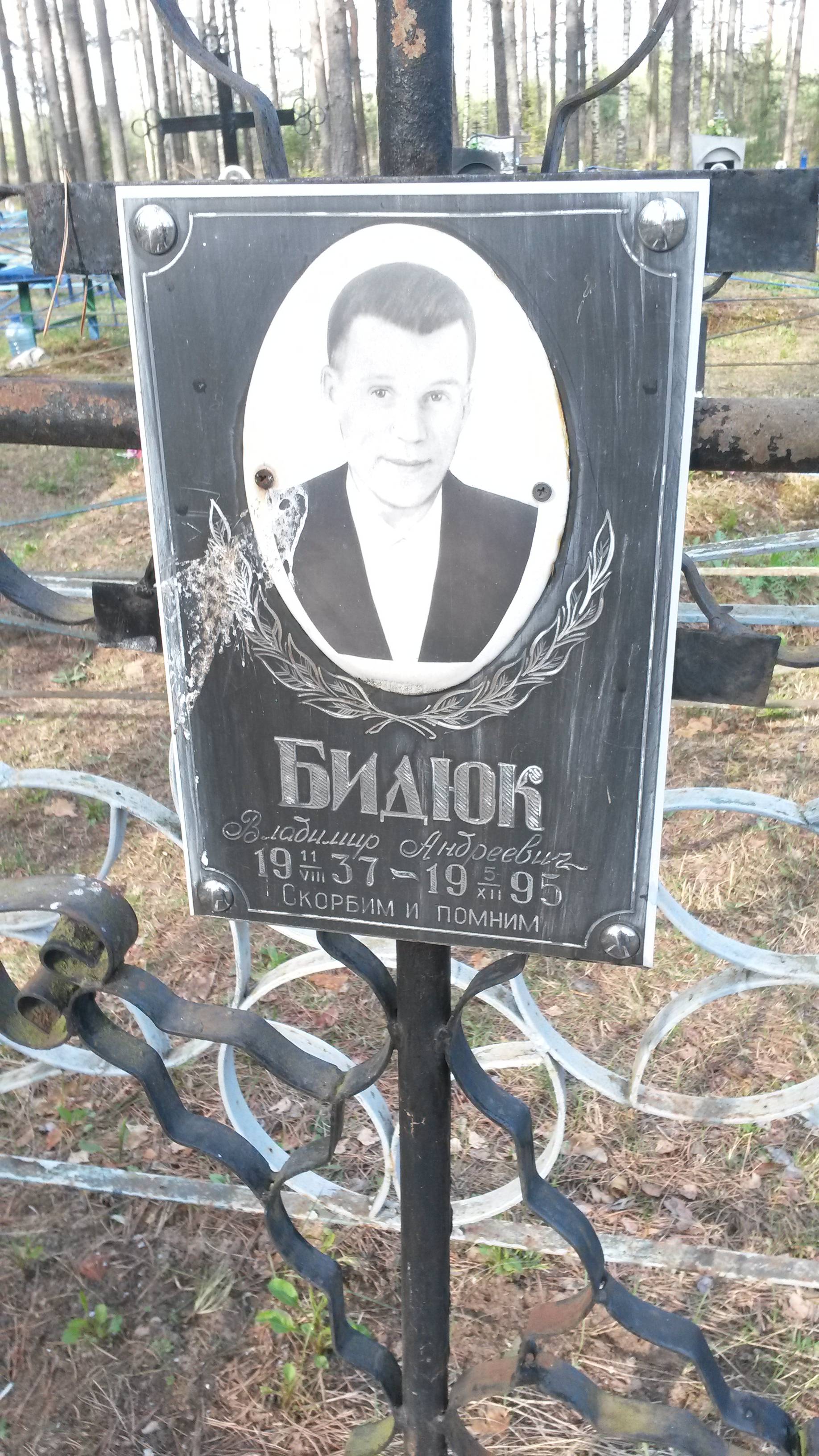 Бидюк Владимир Андреевич