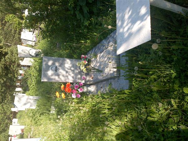 Липухина Вера Аверьяновна