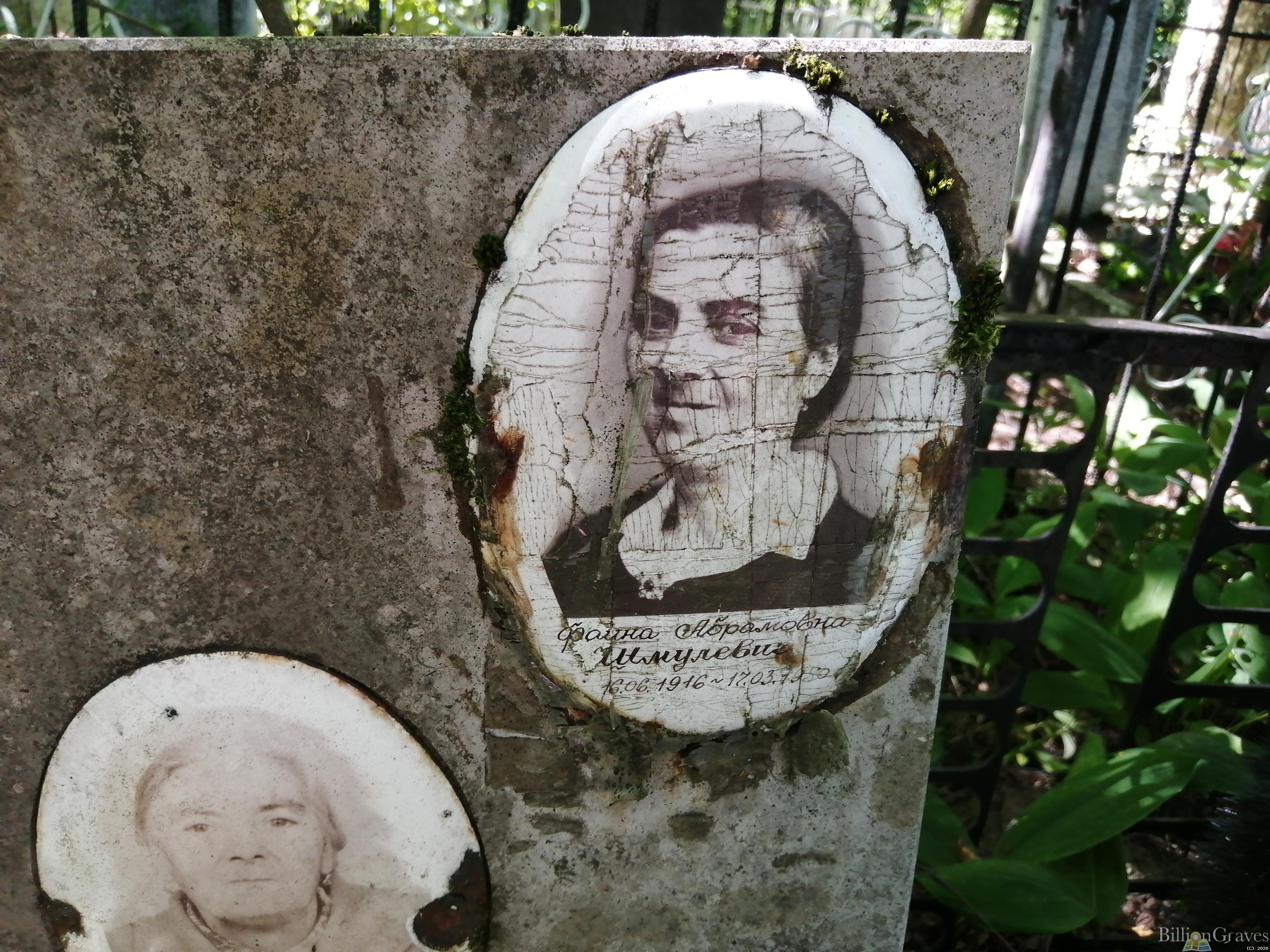 Шмулевич Фаина Абрамовна