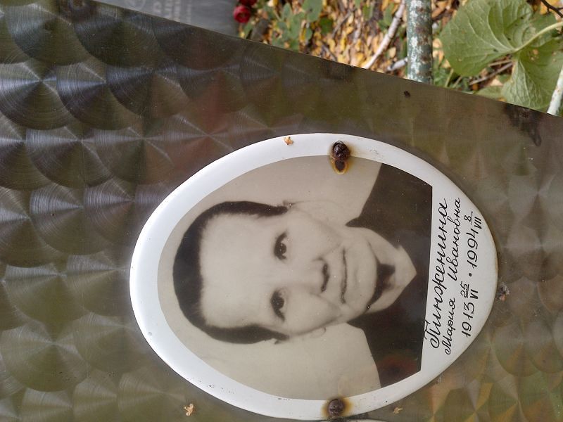Пинженина