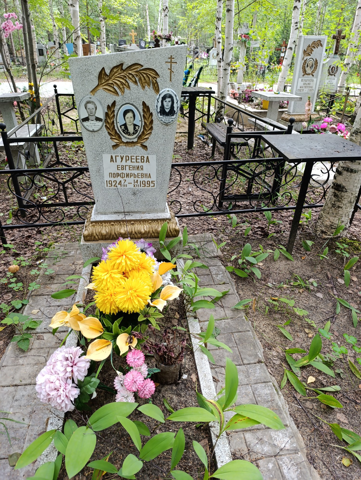 Агуреева Евгения Порфирьевна