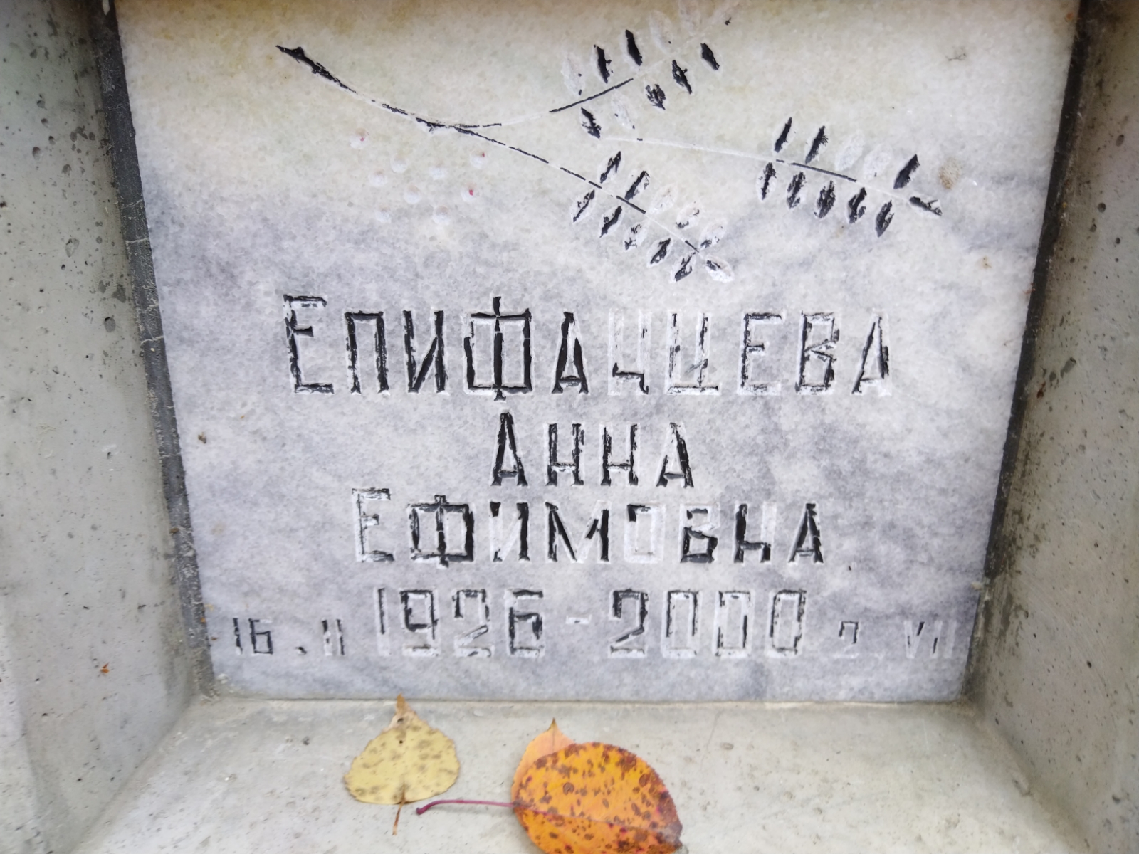 Епифанцева Анна Ефимовна