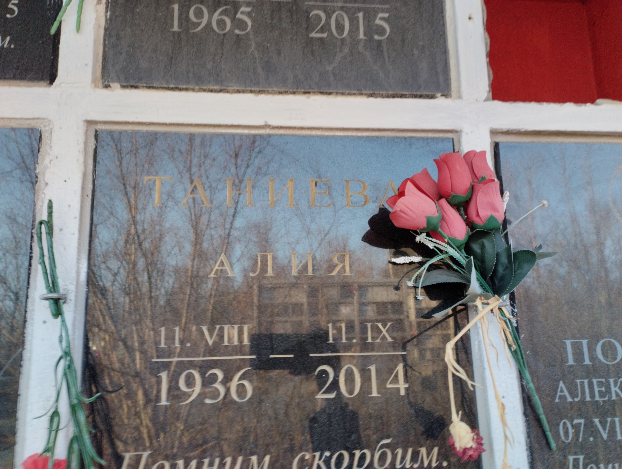 Таниева Алия