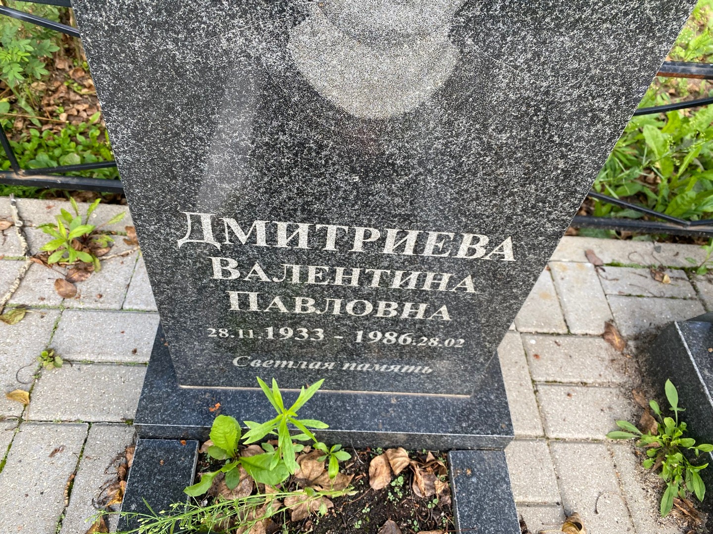 Дмитриева