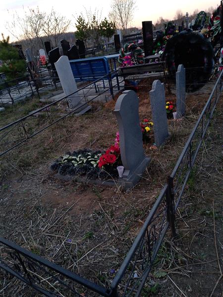Ровкина Анна Семеновна