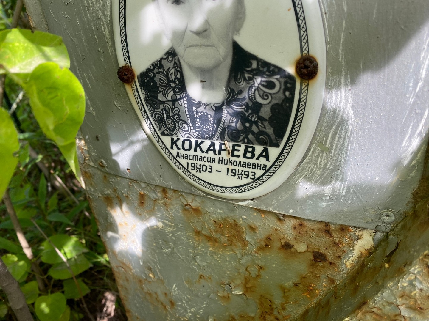 Кокарева Анастасия Николаевна