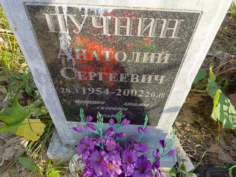 Пучнин