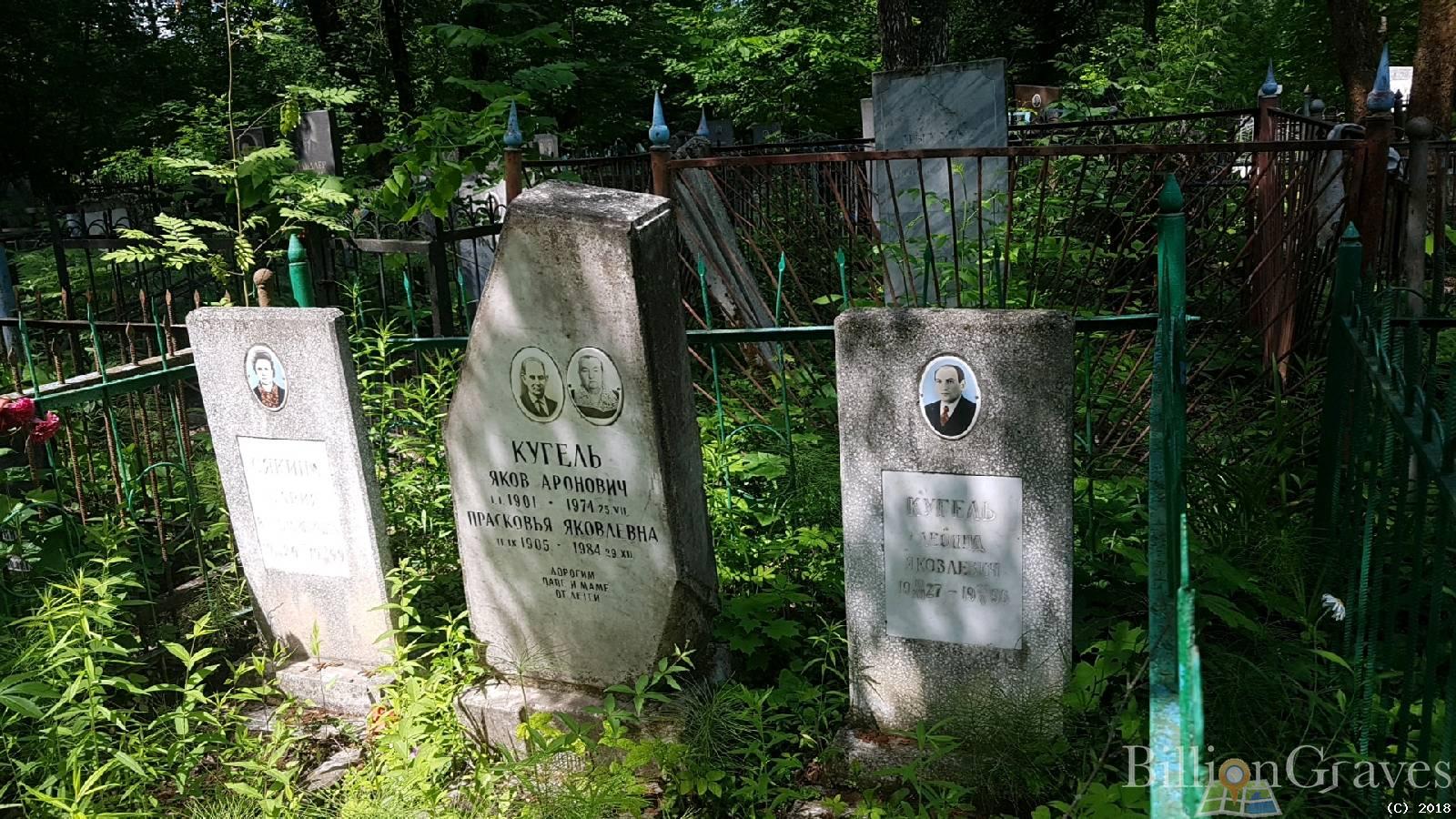 Кугель Яков Аронович