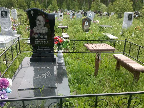 Наумкин Анатолий Тихонович