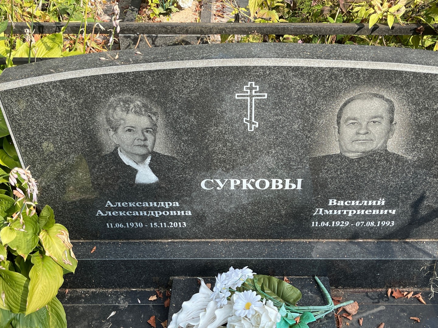 Суркова Александра Александровна