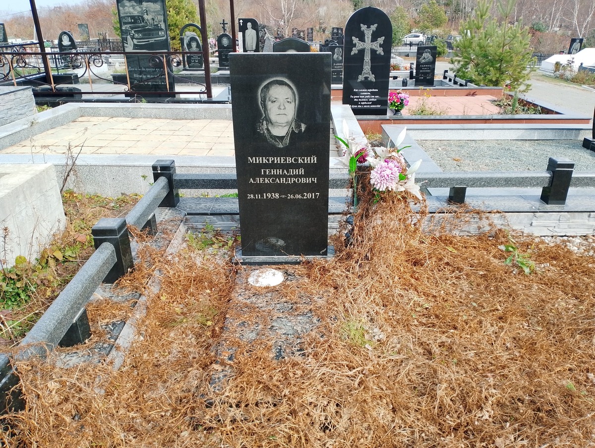 Микриевский Геннадий Александрович