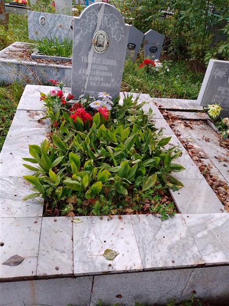 Толстогузова Любовь Михайловна