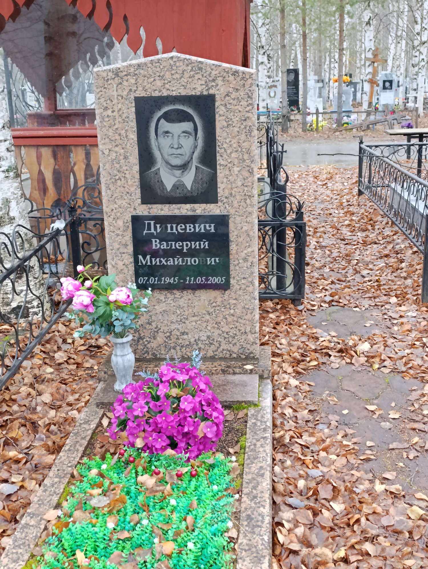 Дицевич Валерий Михайлович