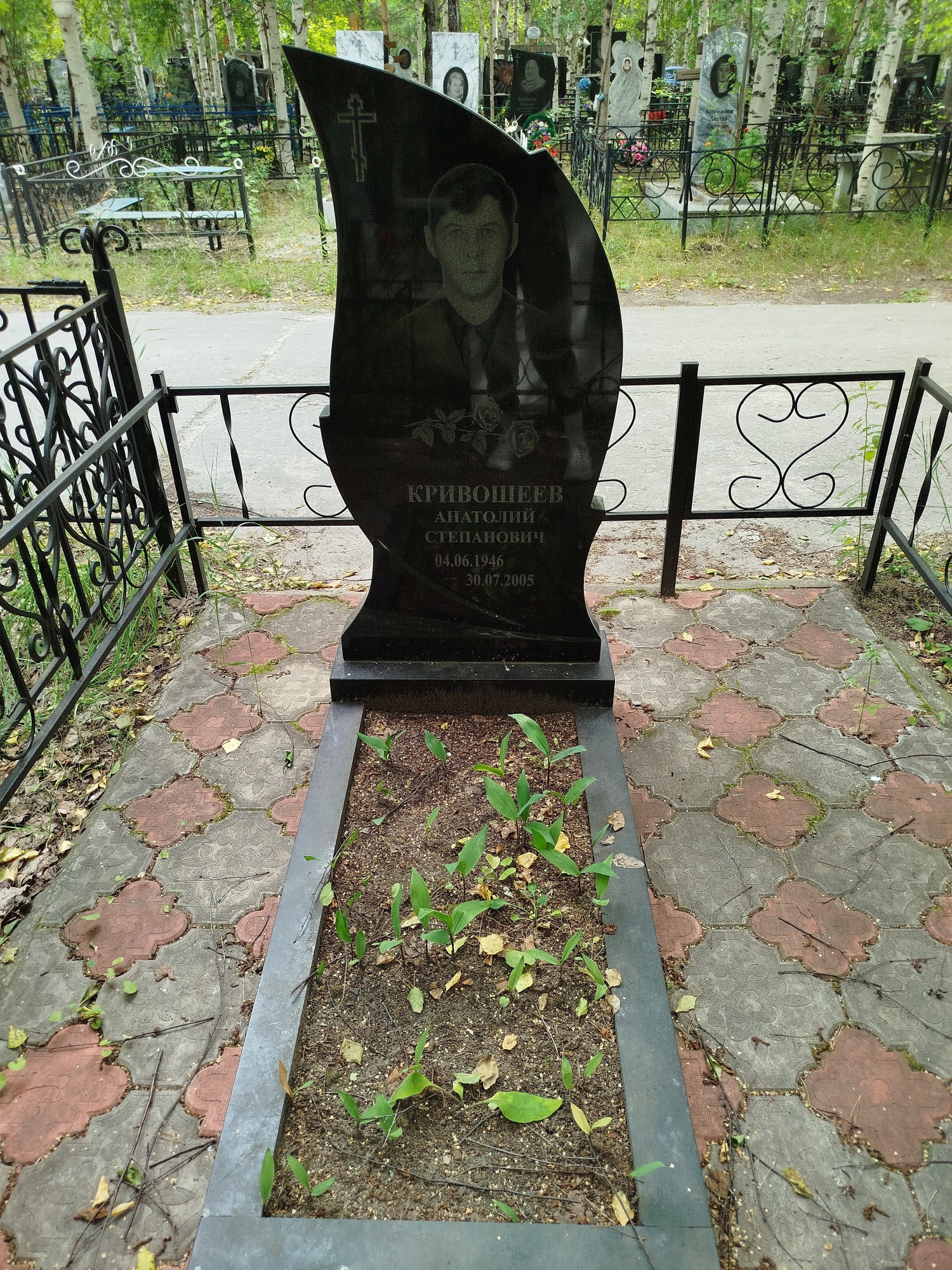 Кривошеев Анатолий Степанович