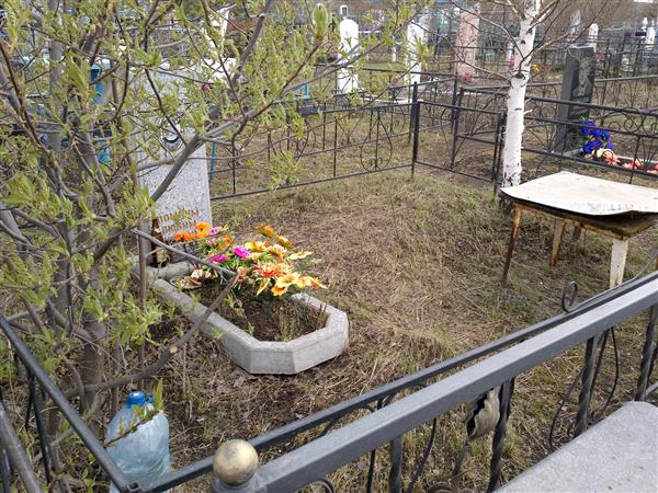 Чемрова Нина Гавриловна