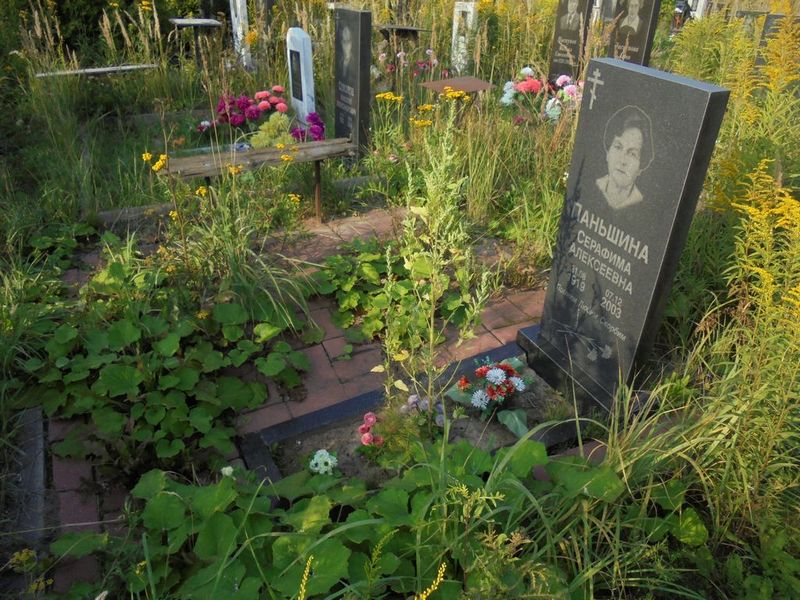 Паньшина Серафима Алексеевна