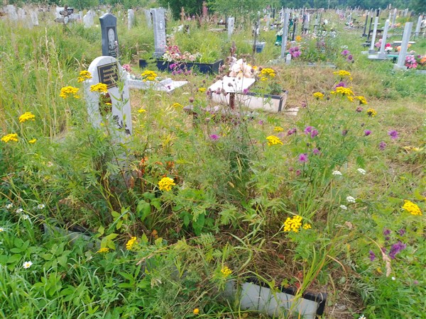 Балакирев Александр Николаевич