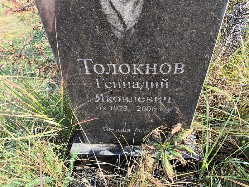 Толокнов