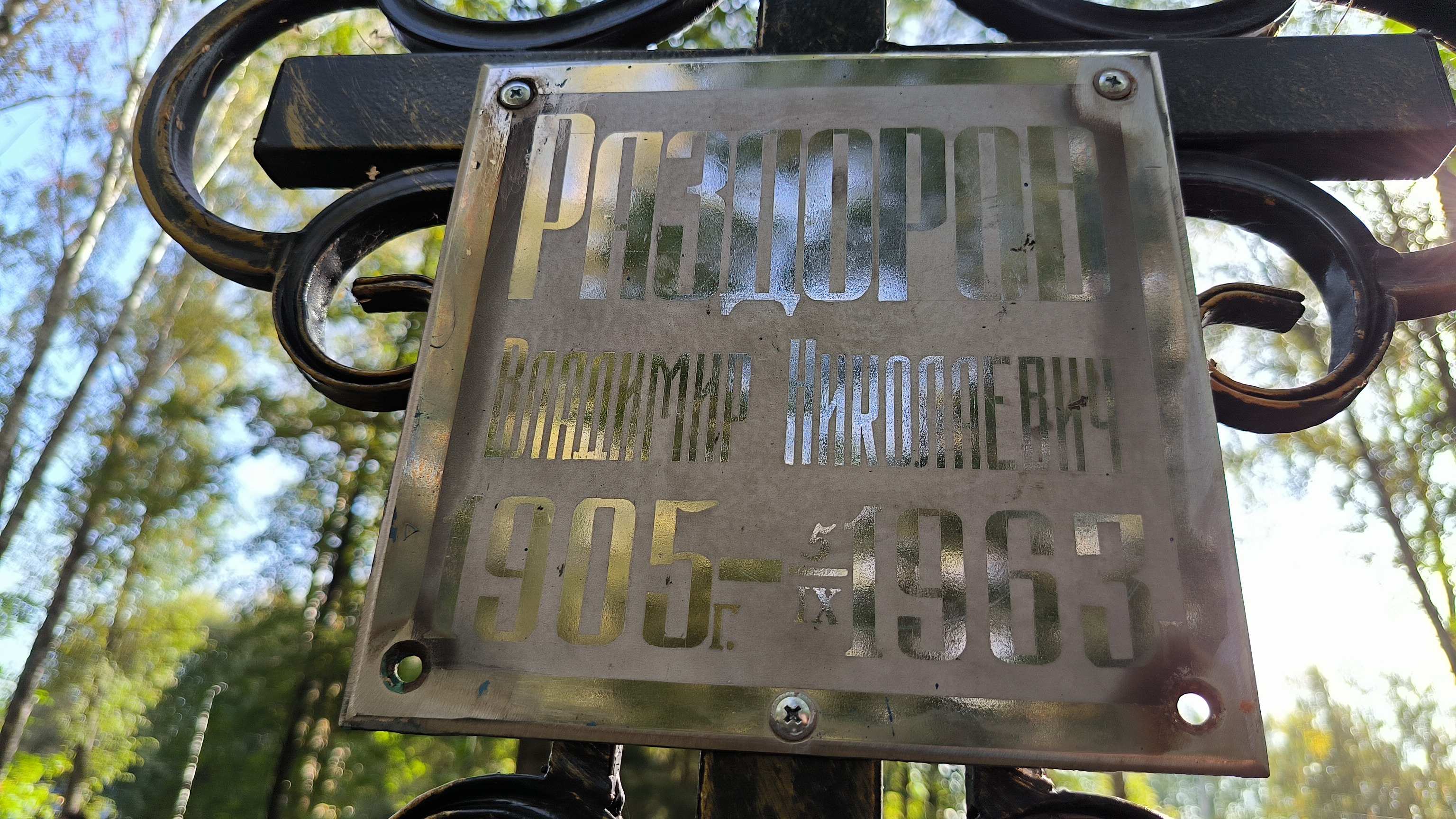 Раздоров Владимир Николаевич
