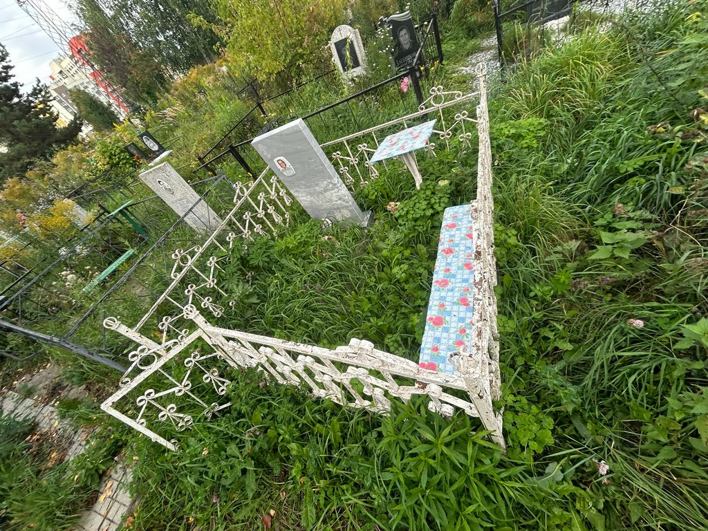 Синегубкина Вера Алексеевна