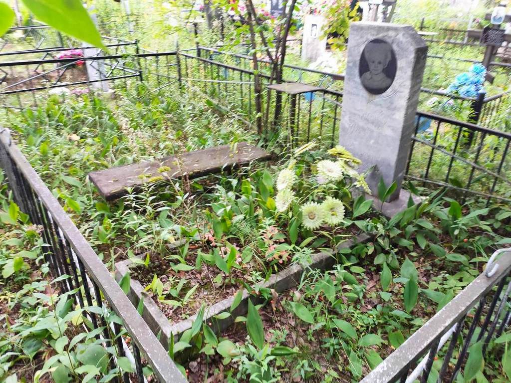 Шехалева Анастасия