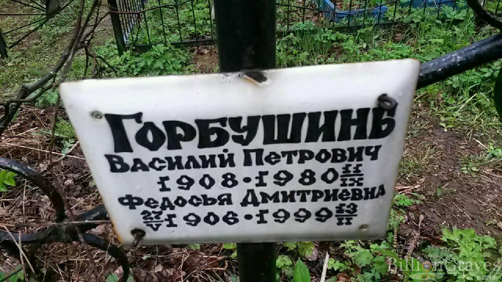 горбушин василий петрович