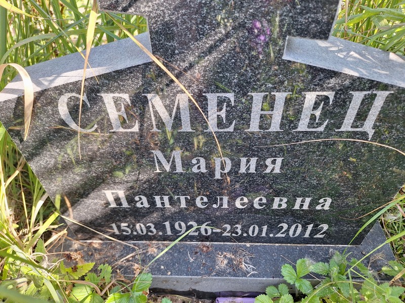 Семенец