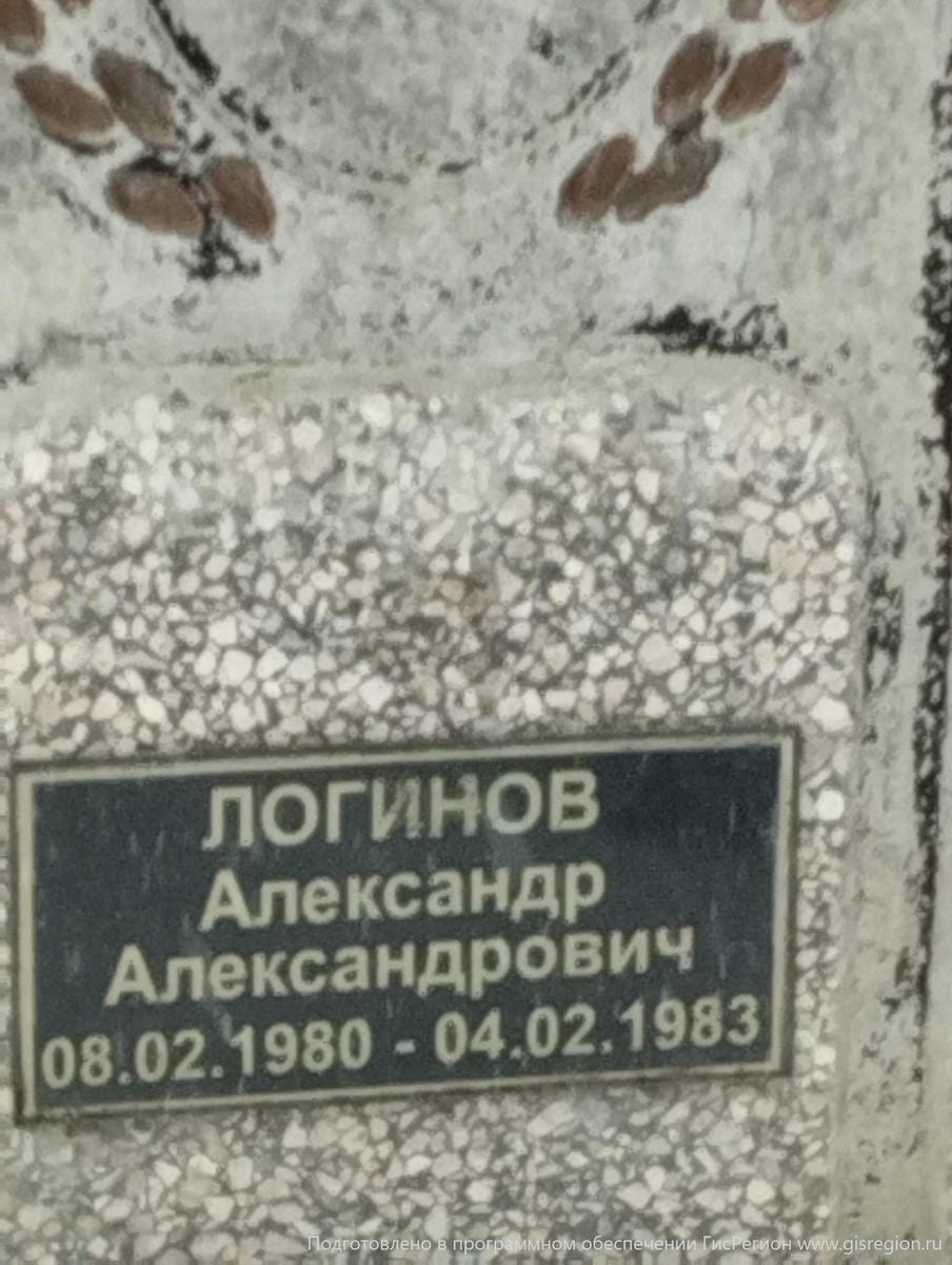 Логинов Александр Александрович