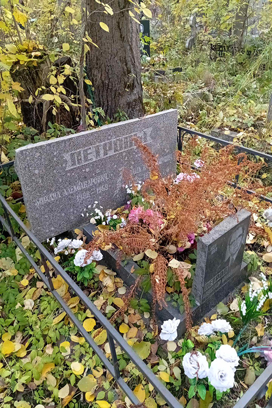 Петров Михаил Александрович