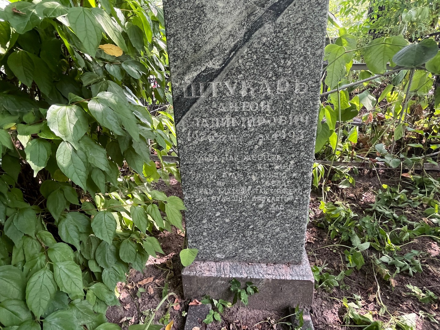 Штукарь