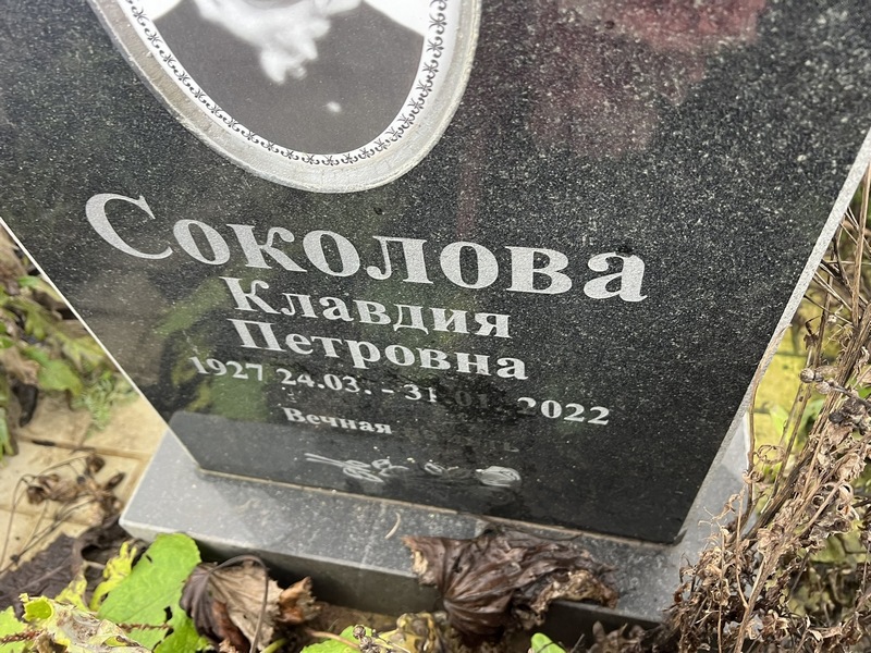Соколова