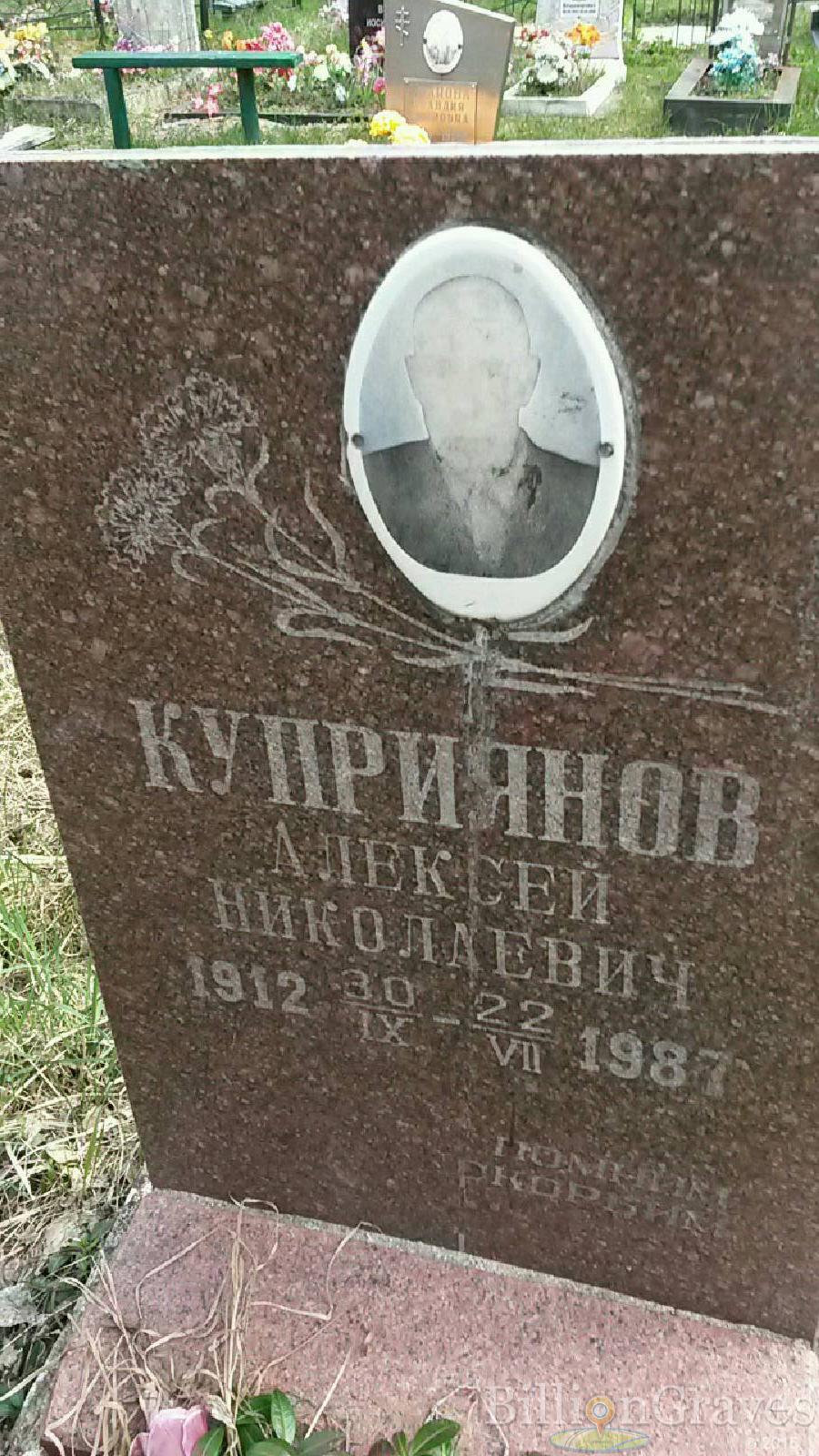 куприянов алексей николаевич