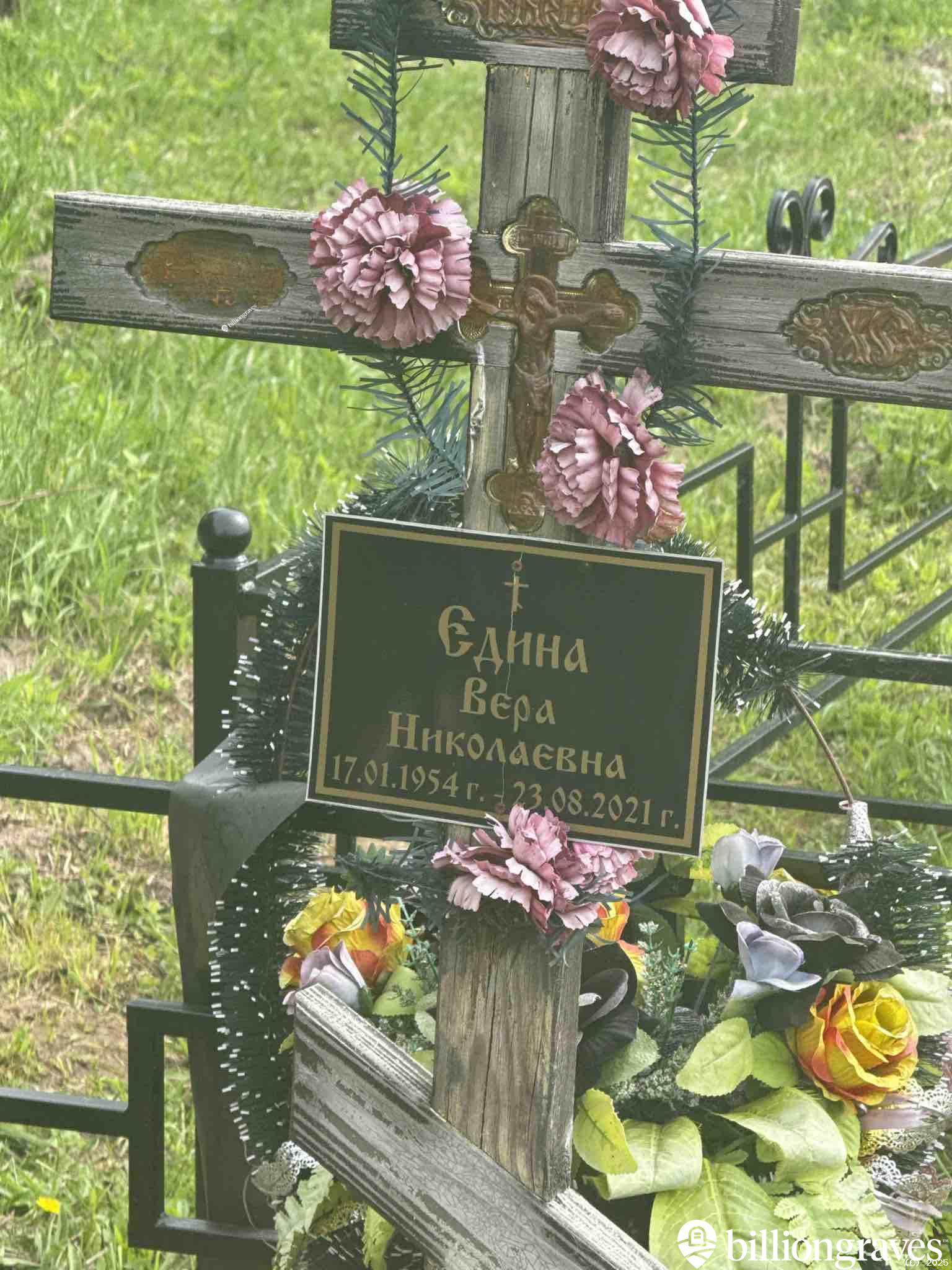 Едина Вера Николаевна