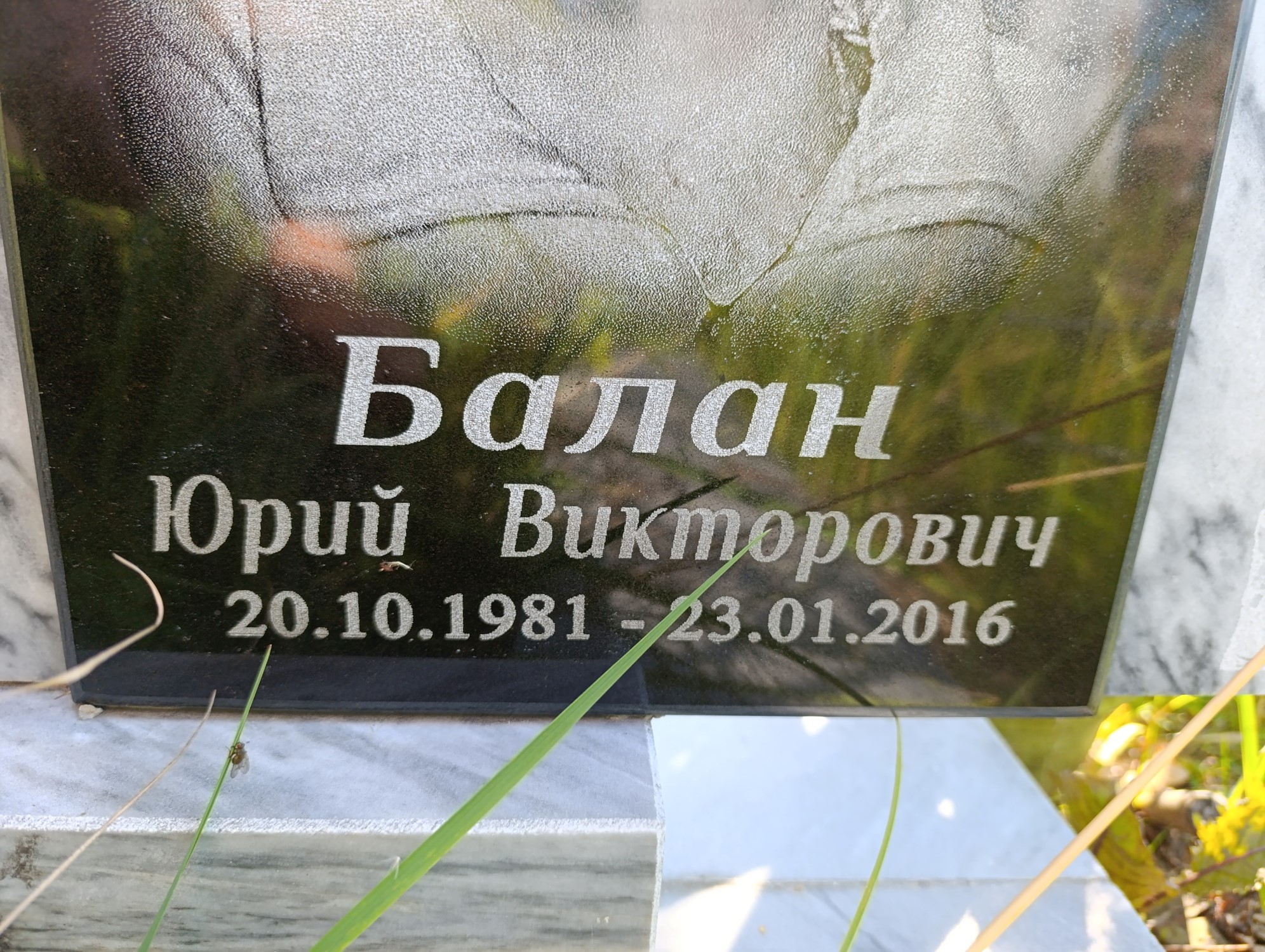 Балан Юрий Викторович