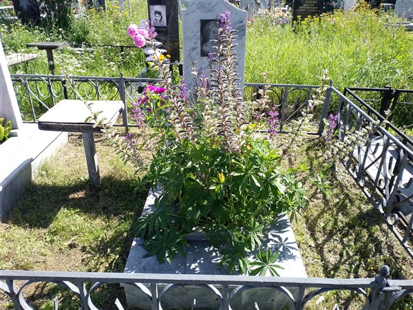 Пастухова Анна Николаевна