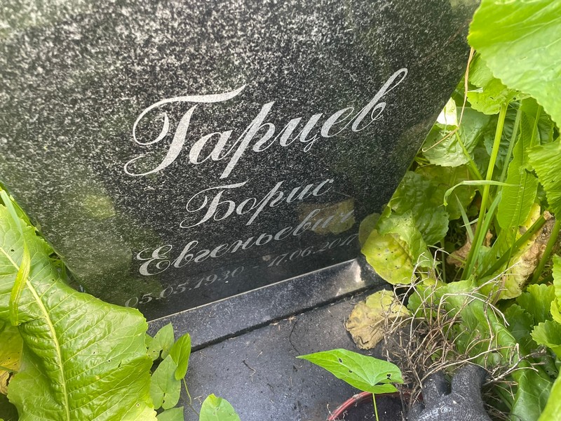 Гарцев