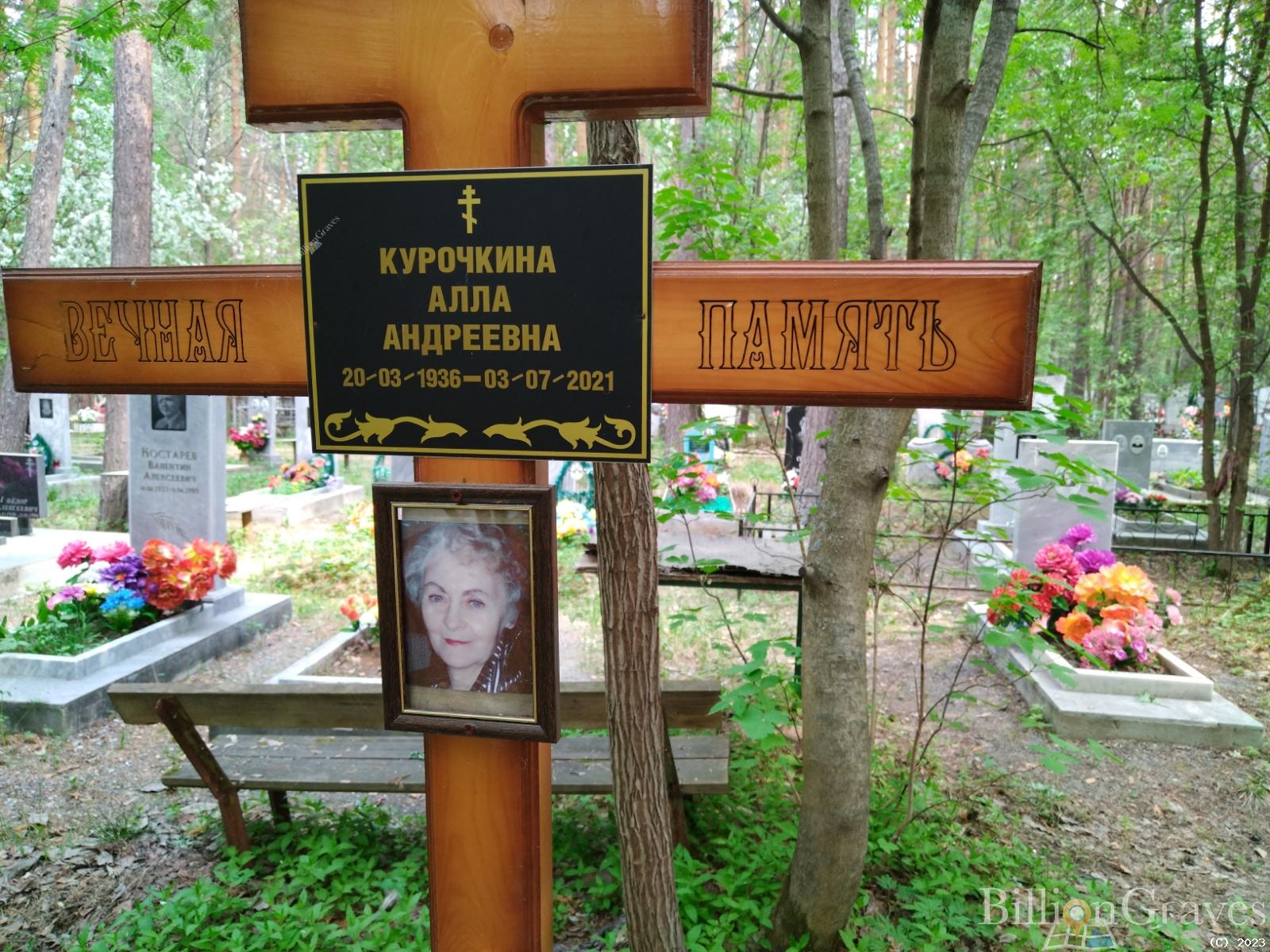 Курочкина Алла Андреевна