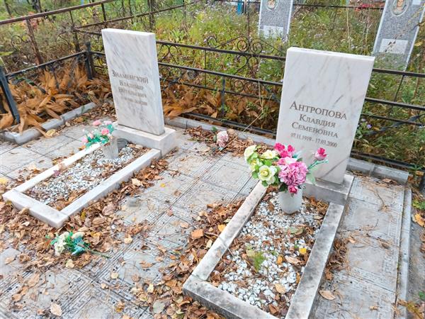 Знаменский Владимир Витальевич