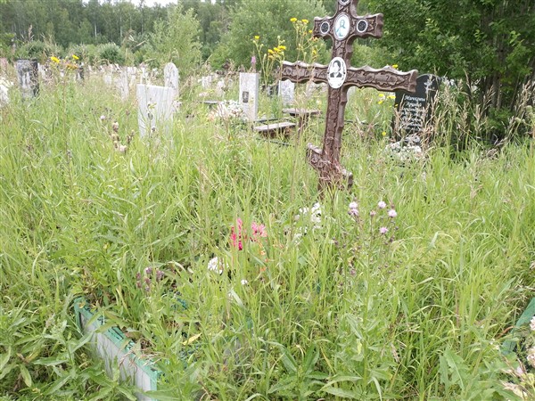 Миронова Нина Васильевна