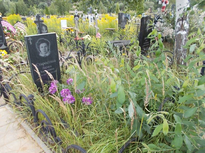 Старостина Лариса Андреевна