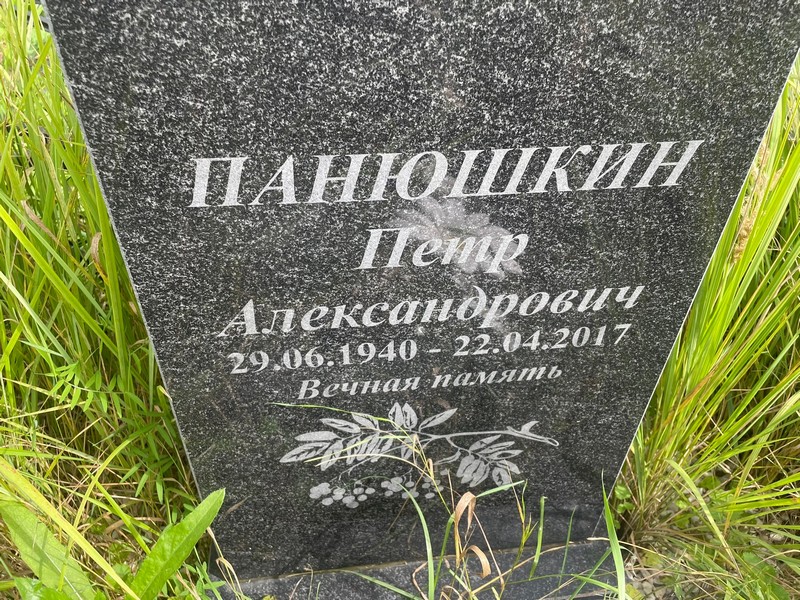 Панюшкин