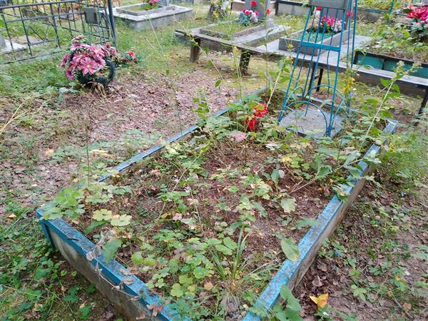 Костин Гаврил Михайлович