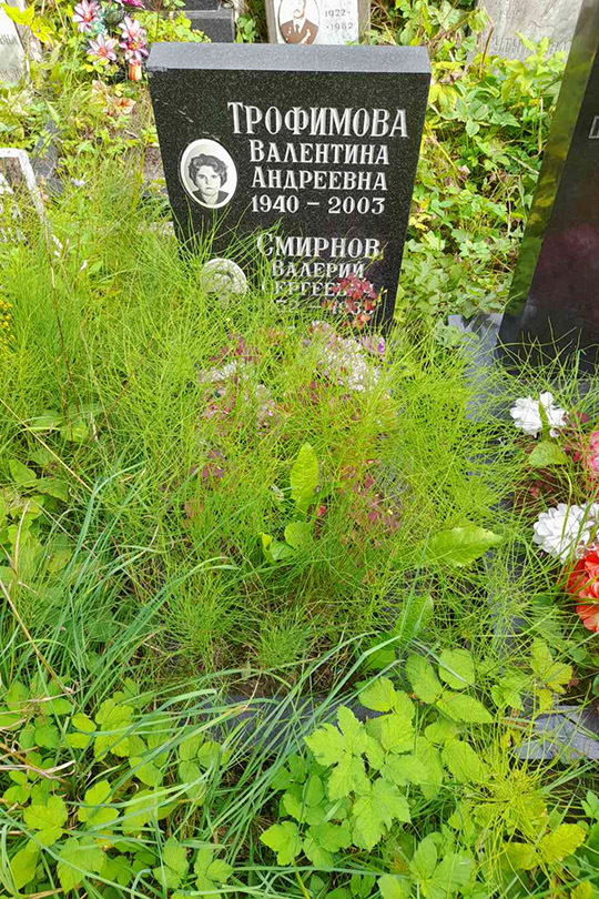 Смирнов Валерий Сергеевич