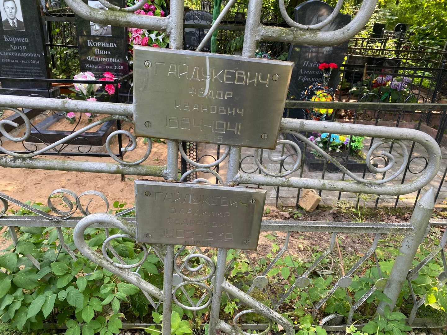 Гайдукевич