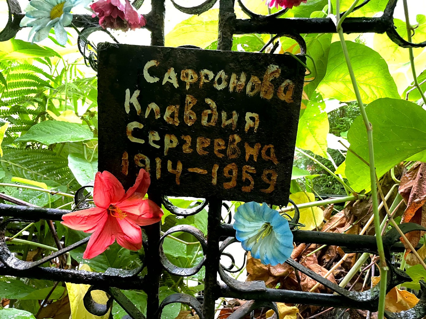 Сафронова