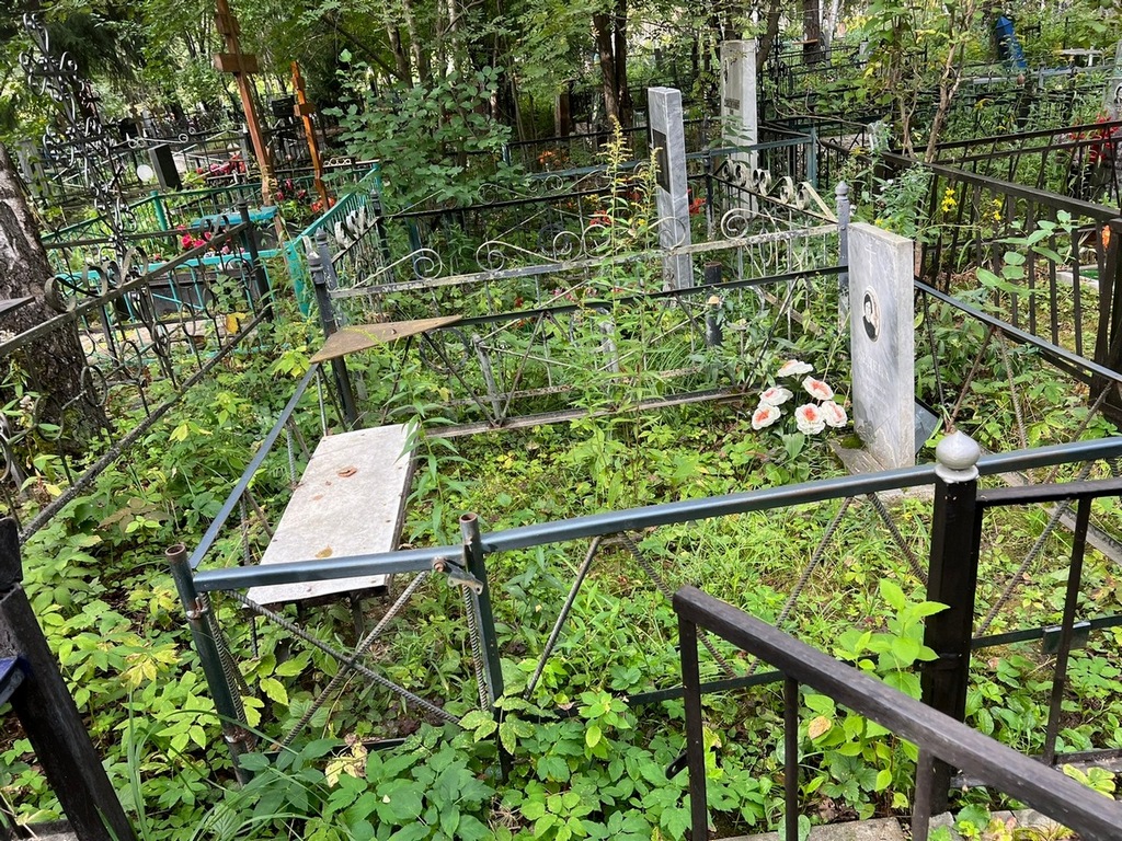 Бедена Светлана Тимофеевна