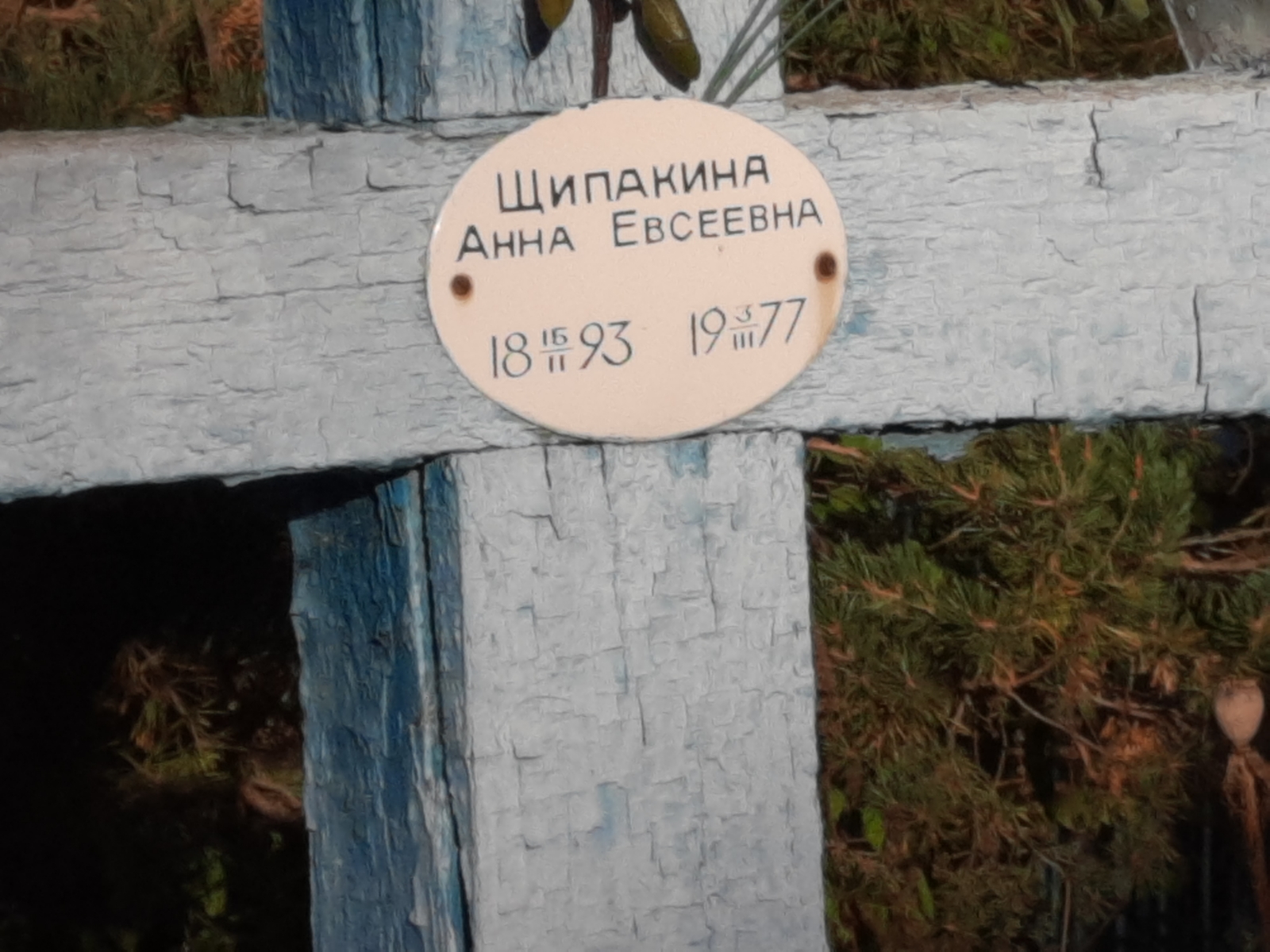 Щипакина Анна Евсеевна